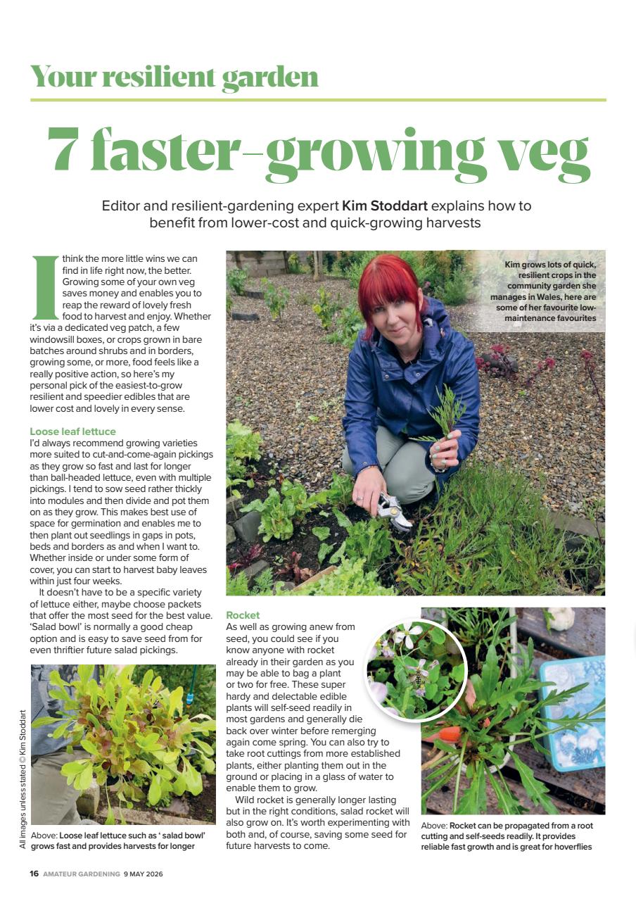 Amateur Gardening Preview Pages