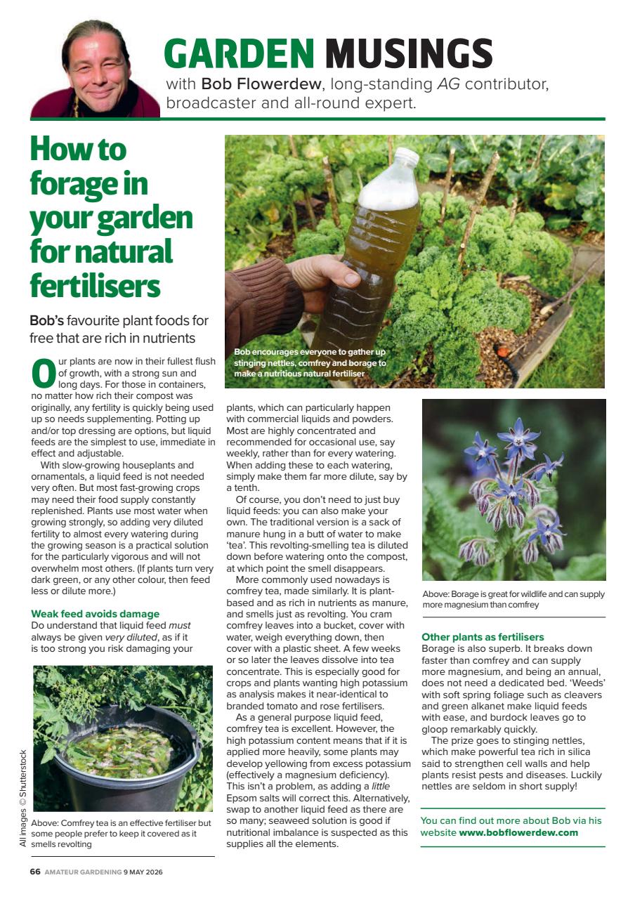Amateur Gardening Preview Pages