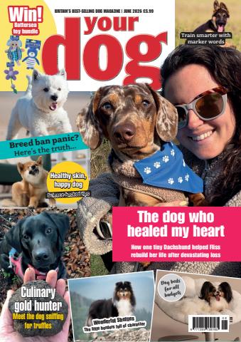 Your Dog issue Your Dog - June 2026