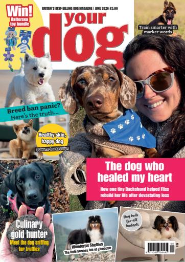 Your Dog issue 