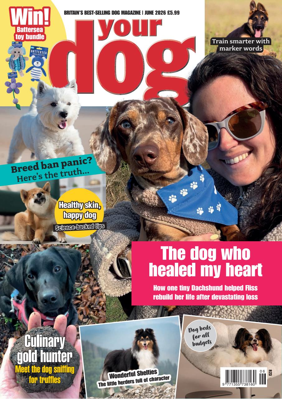 Your Dog Preview Pages
