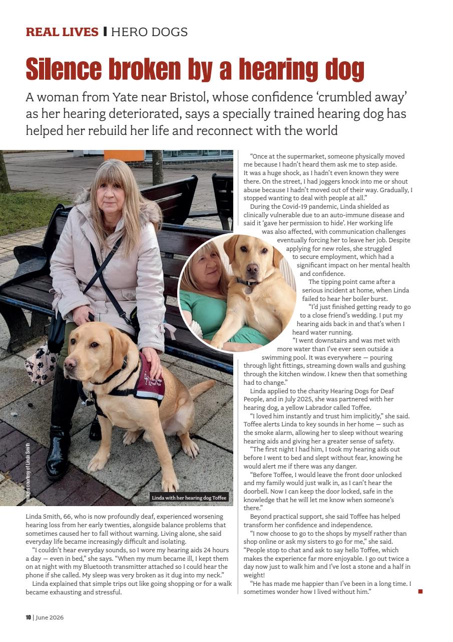 Your Dog Preview Pages