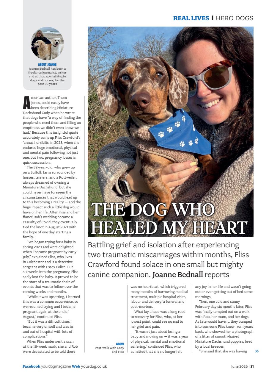 Your Dog Preview Pages