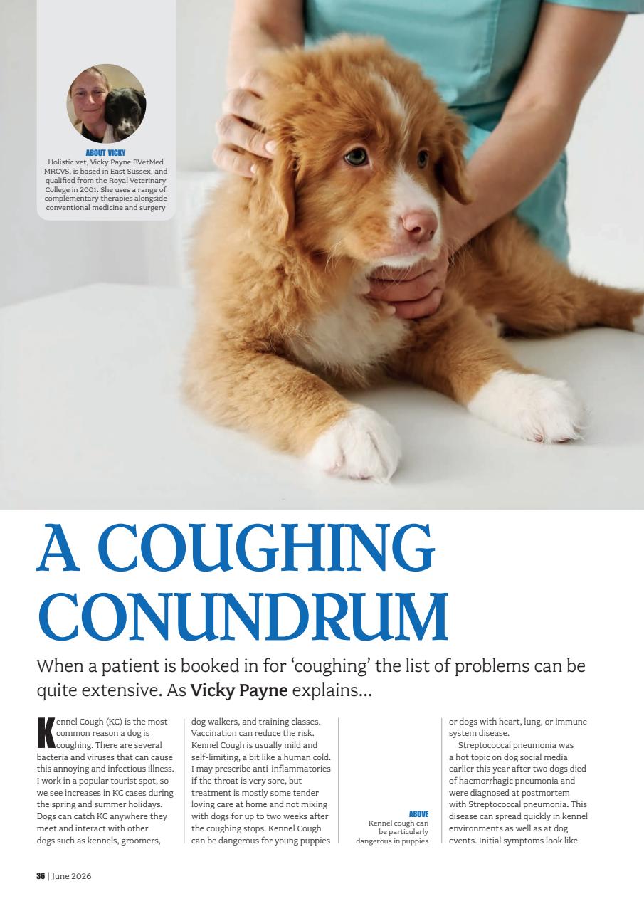 Your Dog Preview Pages