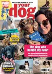 Your Dog Complete Your Collection Cover 1