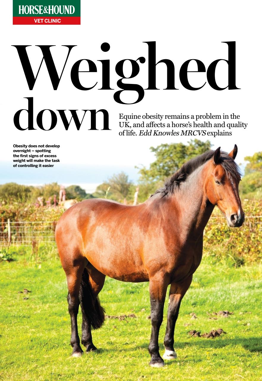 Horse & Hound Preview Pages