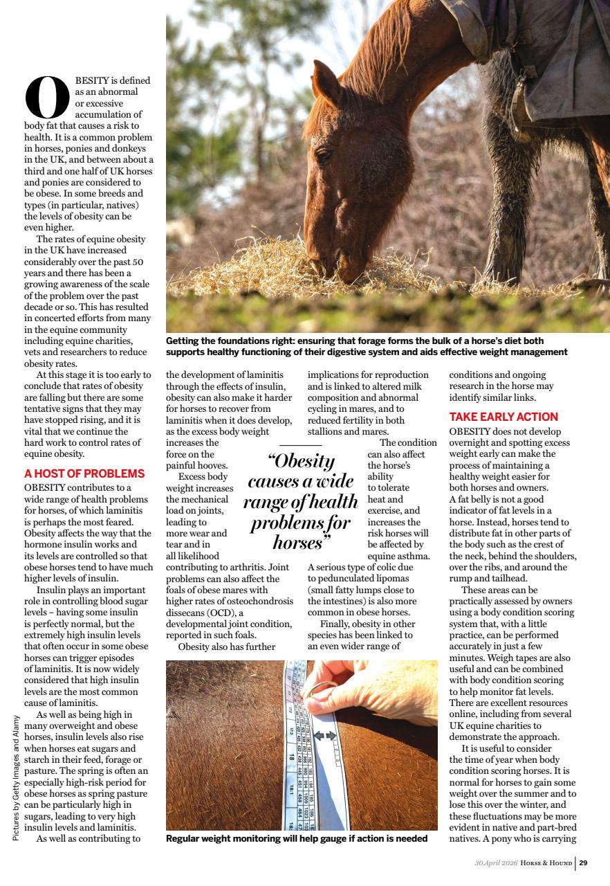 Horse & Hound Preview Pages