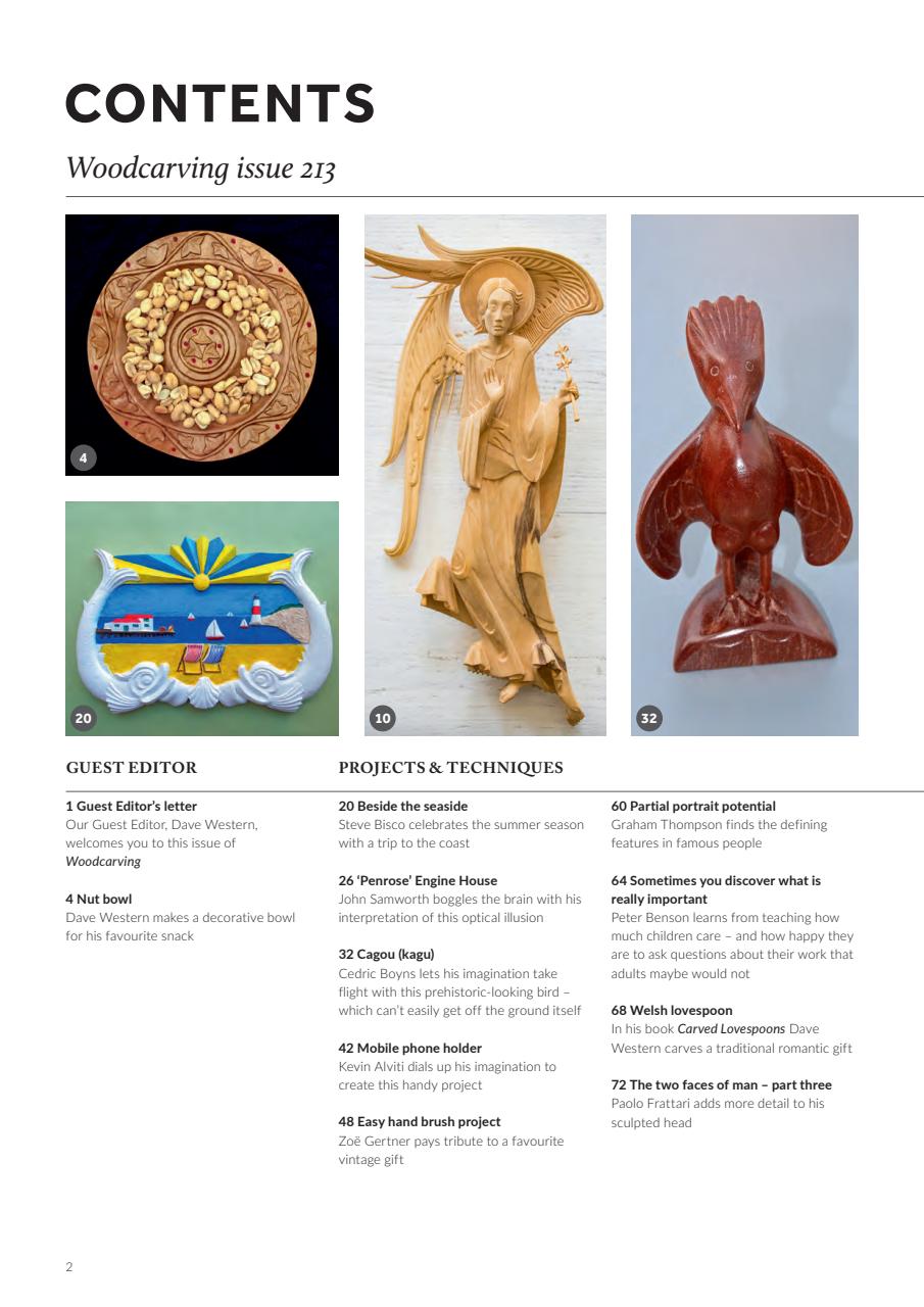 Woodcarving Preview Pages