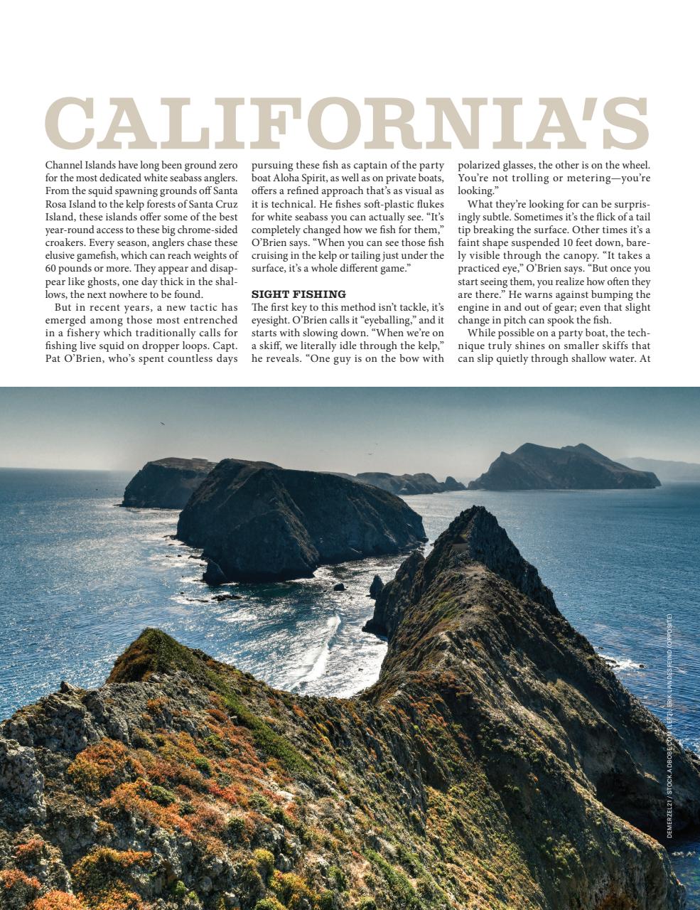 Saltwater Sportsman Preview Pages