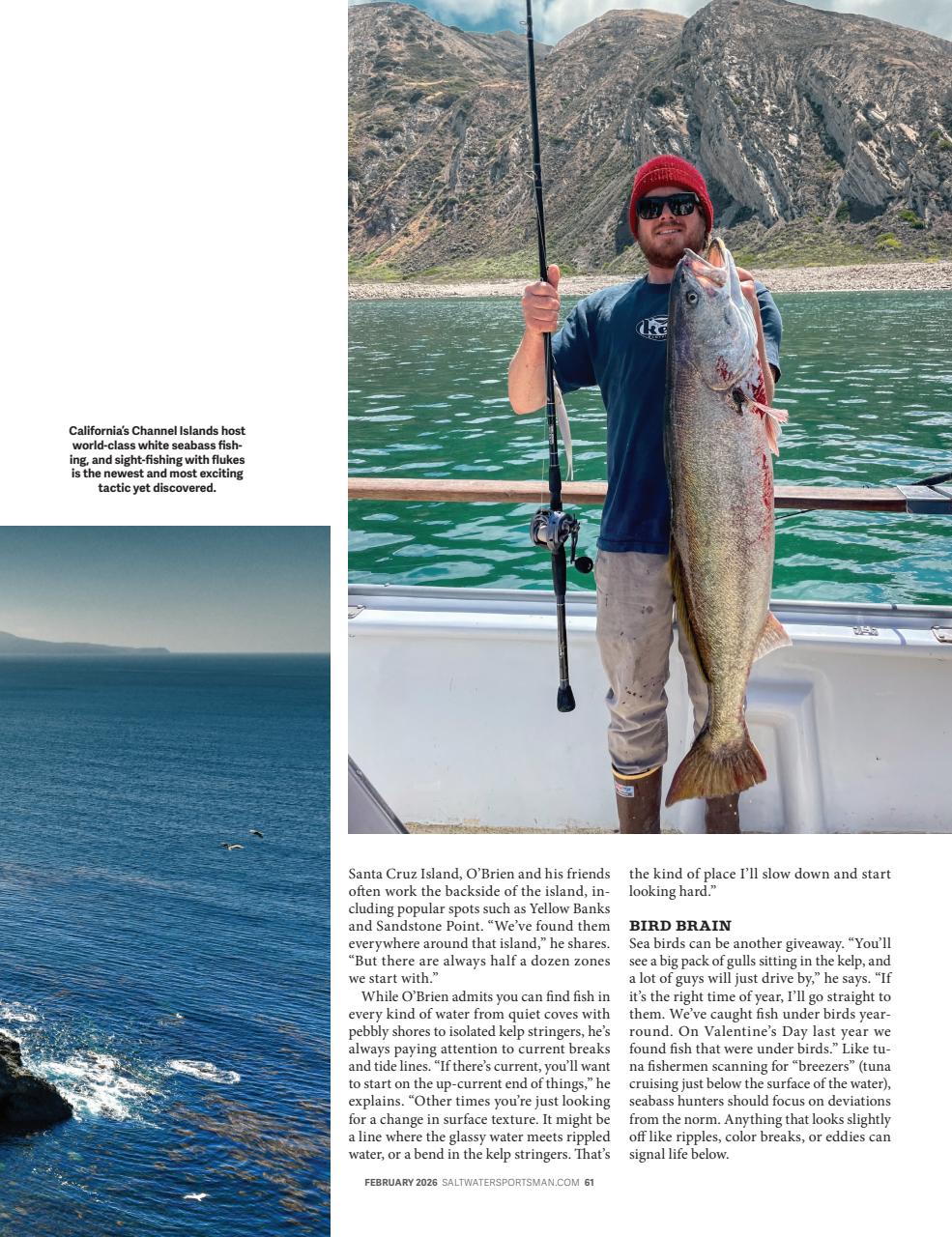 Saltwater Sportsman Preview Pages