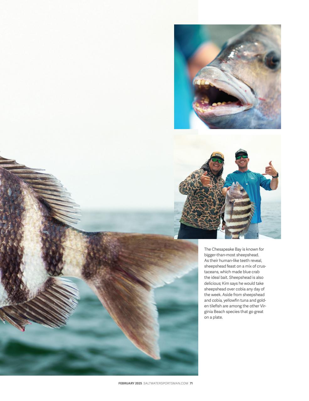 Saltwater Sportsman Preview Pages