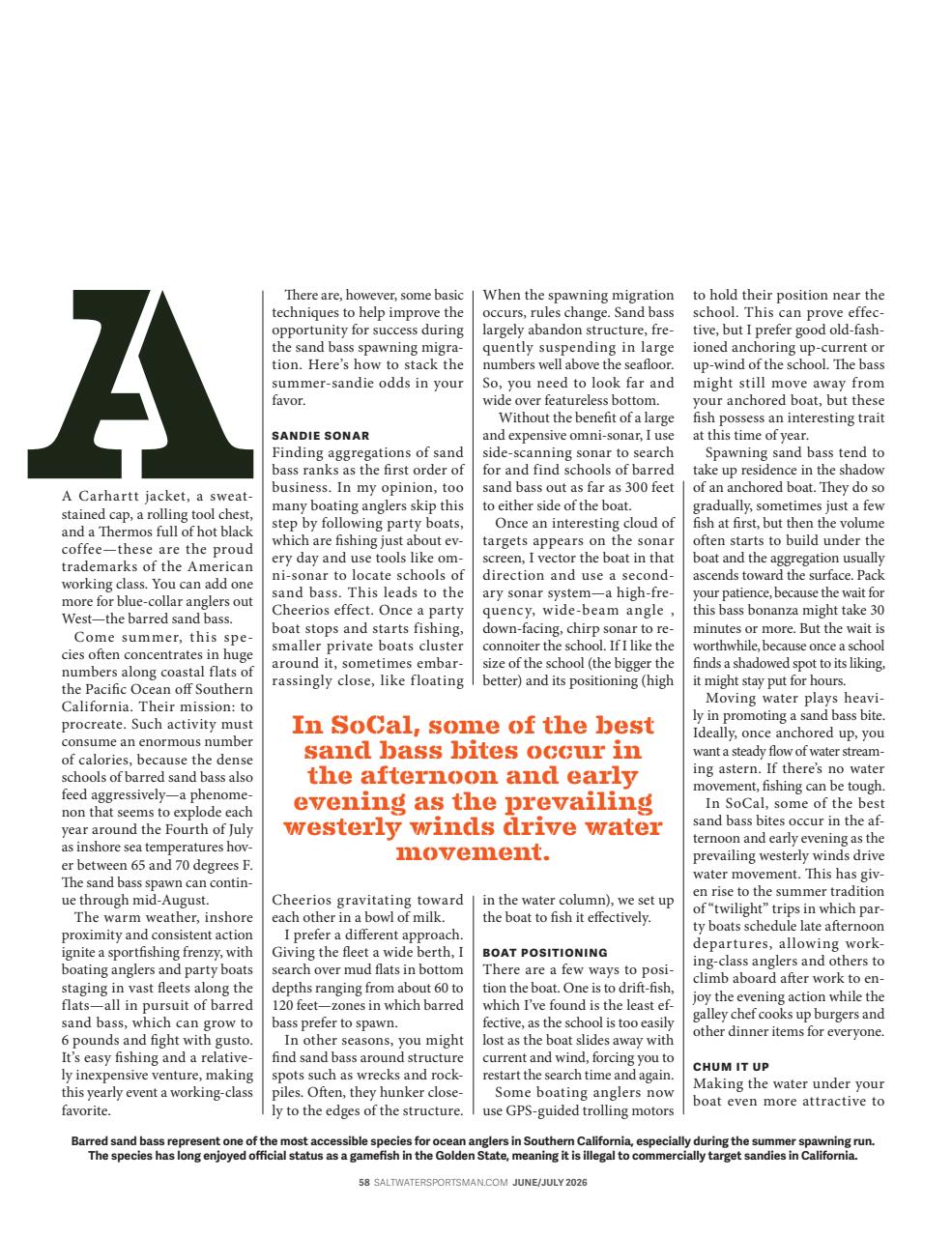 Saltwater Sportsman Preview Pages