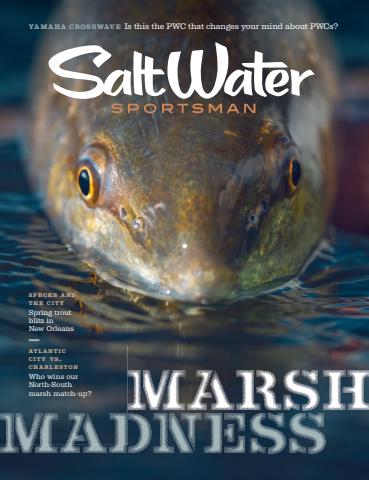 Mar-26 issue Mar-26