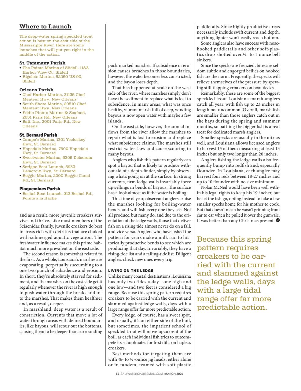 Saltwater Sportsman Preview Pages
