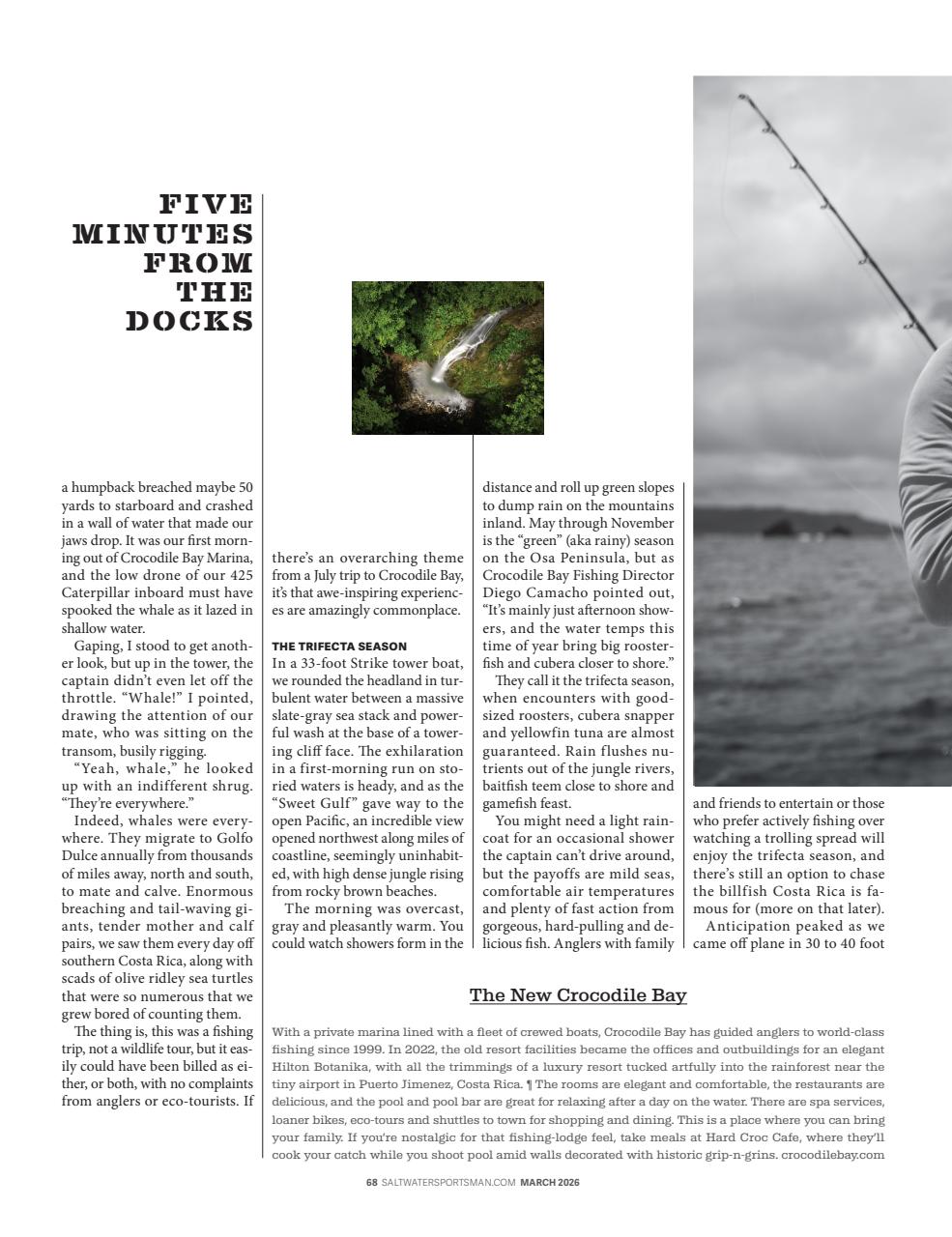 Saltwater Sportsman Preview Pages