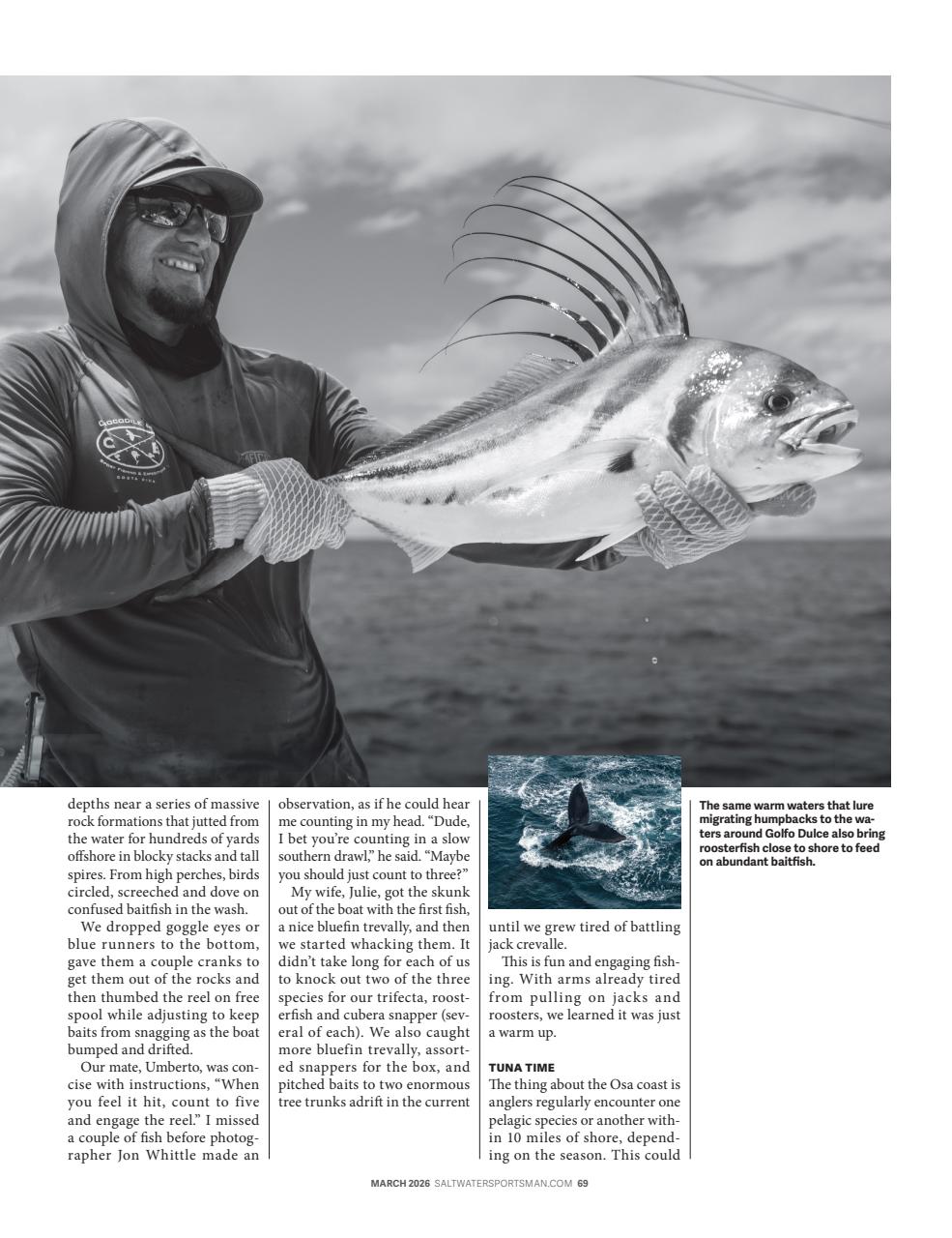 Saltwater Sportsman Preview Pages