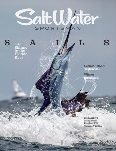 Nov-Dec 25 issue Nov-Dec 25