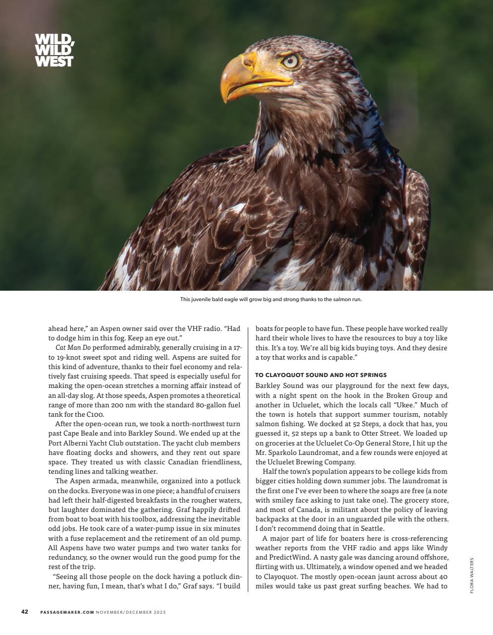 Passagemaker Preview Pages