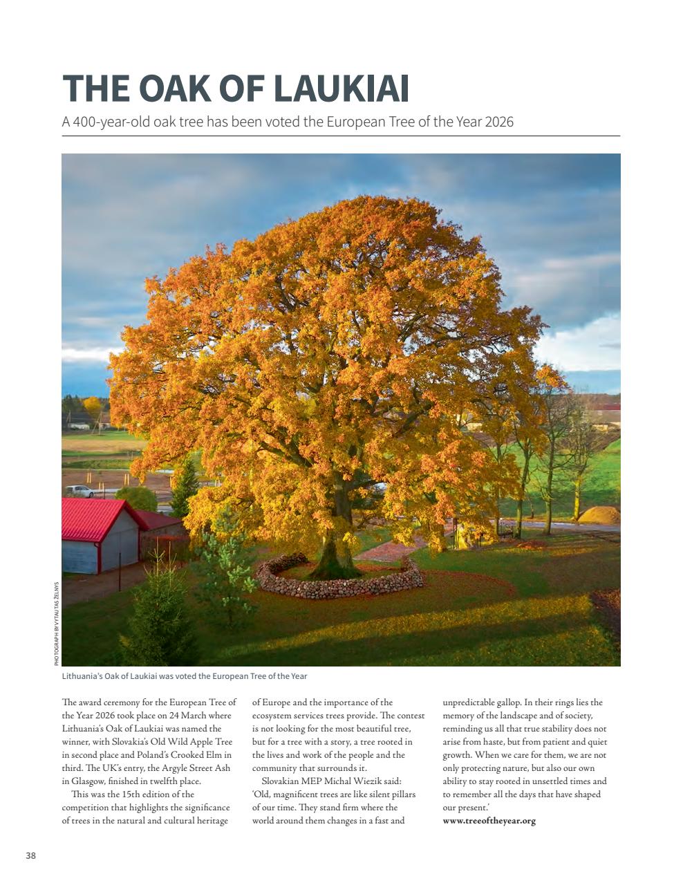Woodworking Crafts Magazine Preview Pages