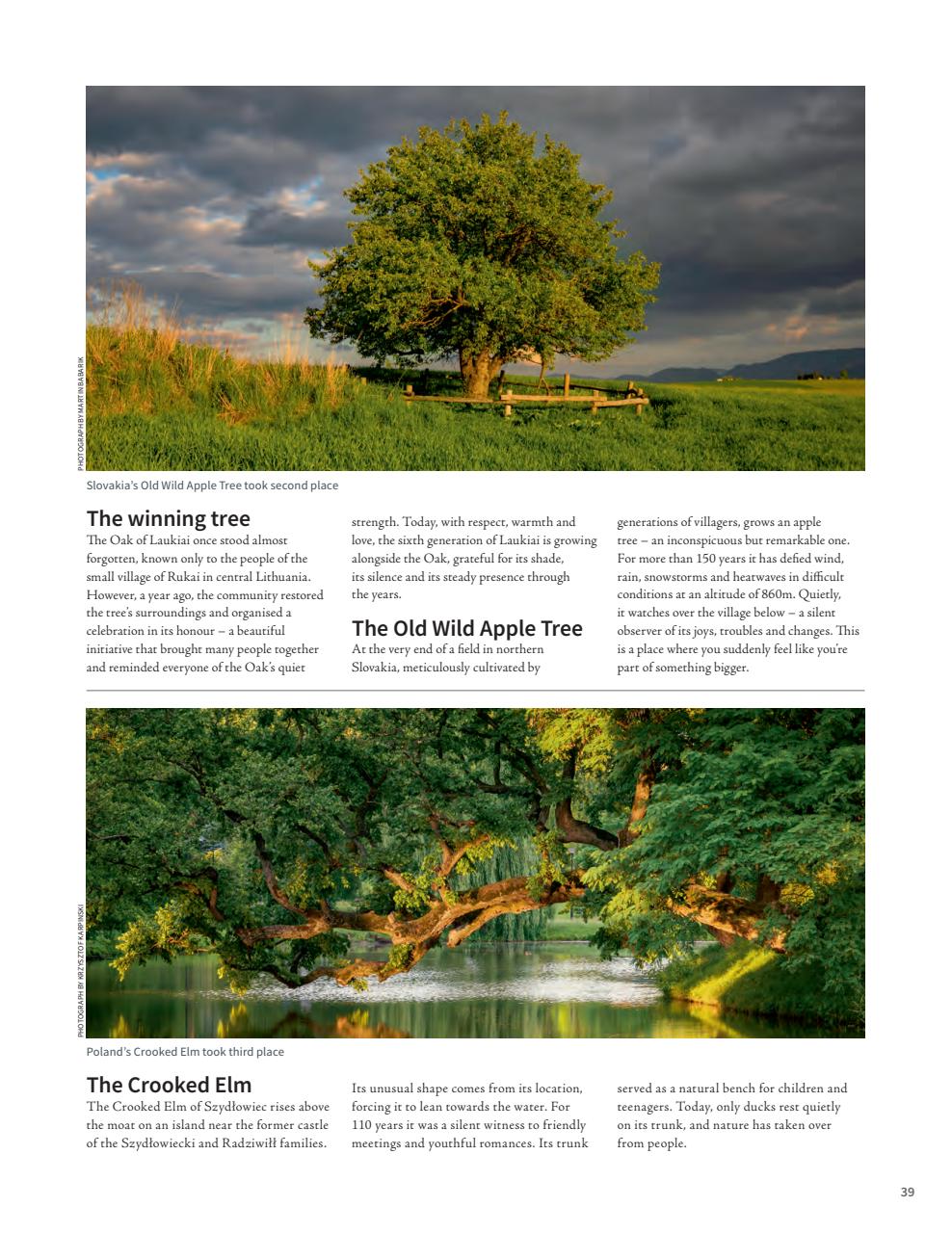 Woodworking Crafts Magazine Preview Pages