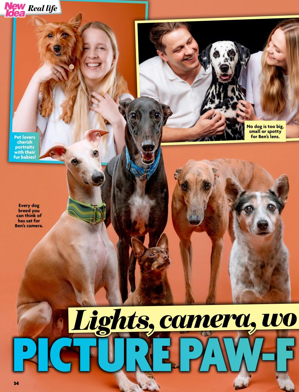 New Idea Preview Pages
