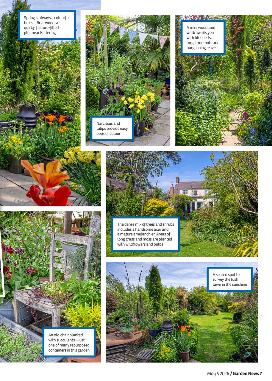 Garden News Preview Pages