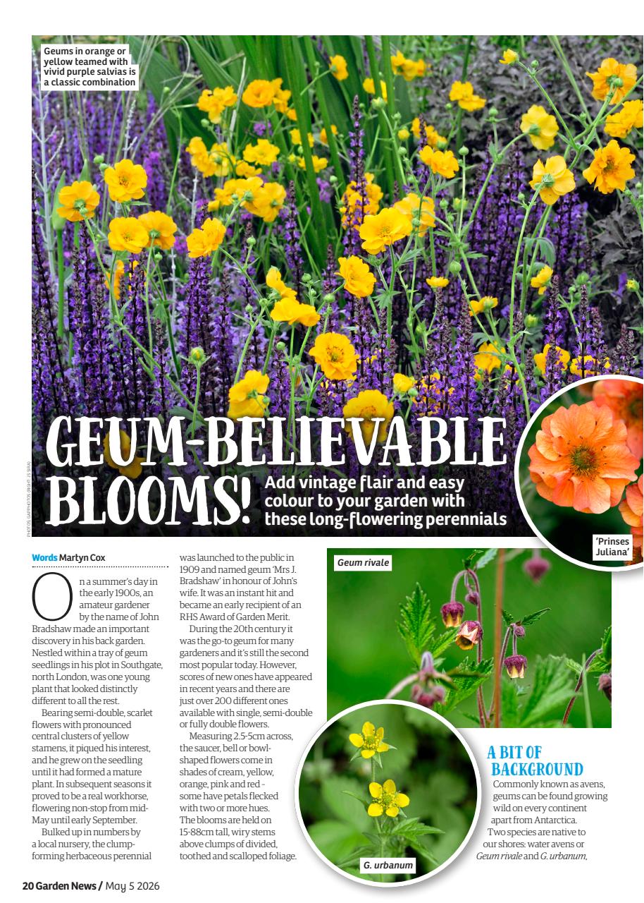 Garden News Preview Pages
