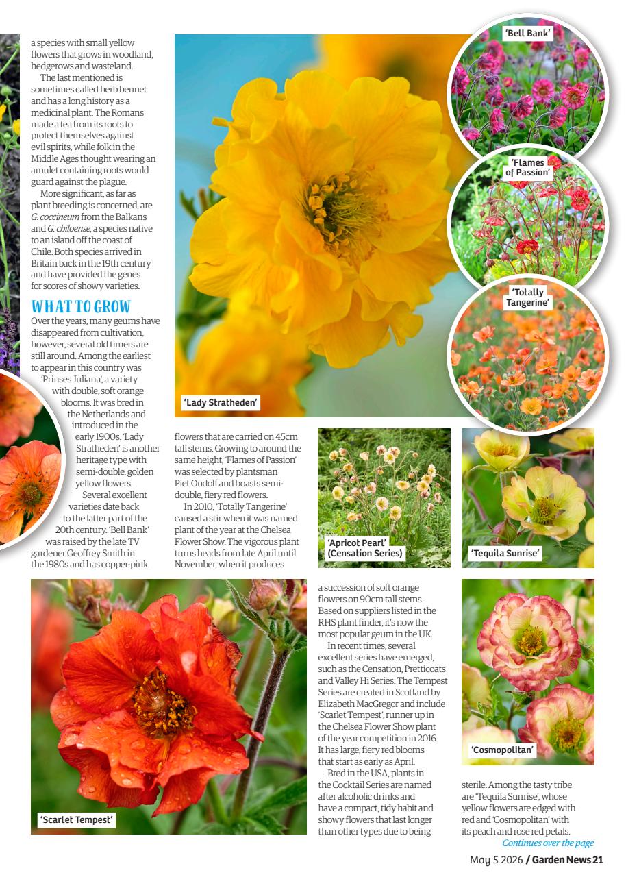 Garden News Preview Pages