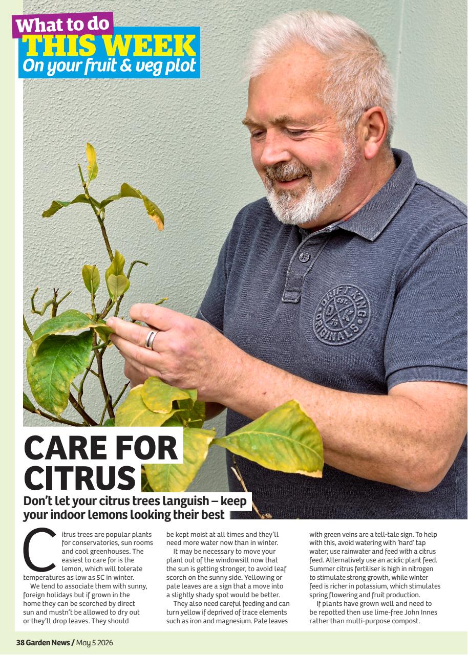 Garden News Preview Pages