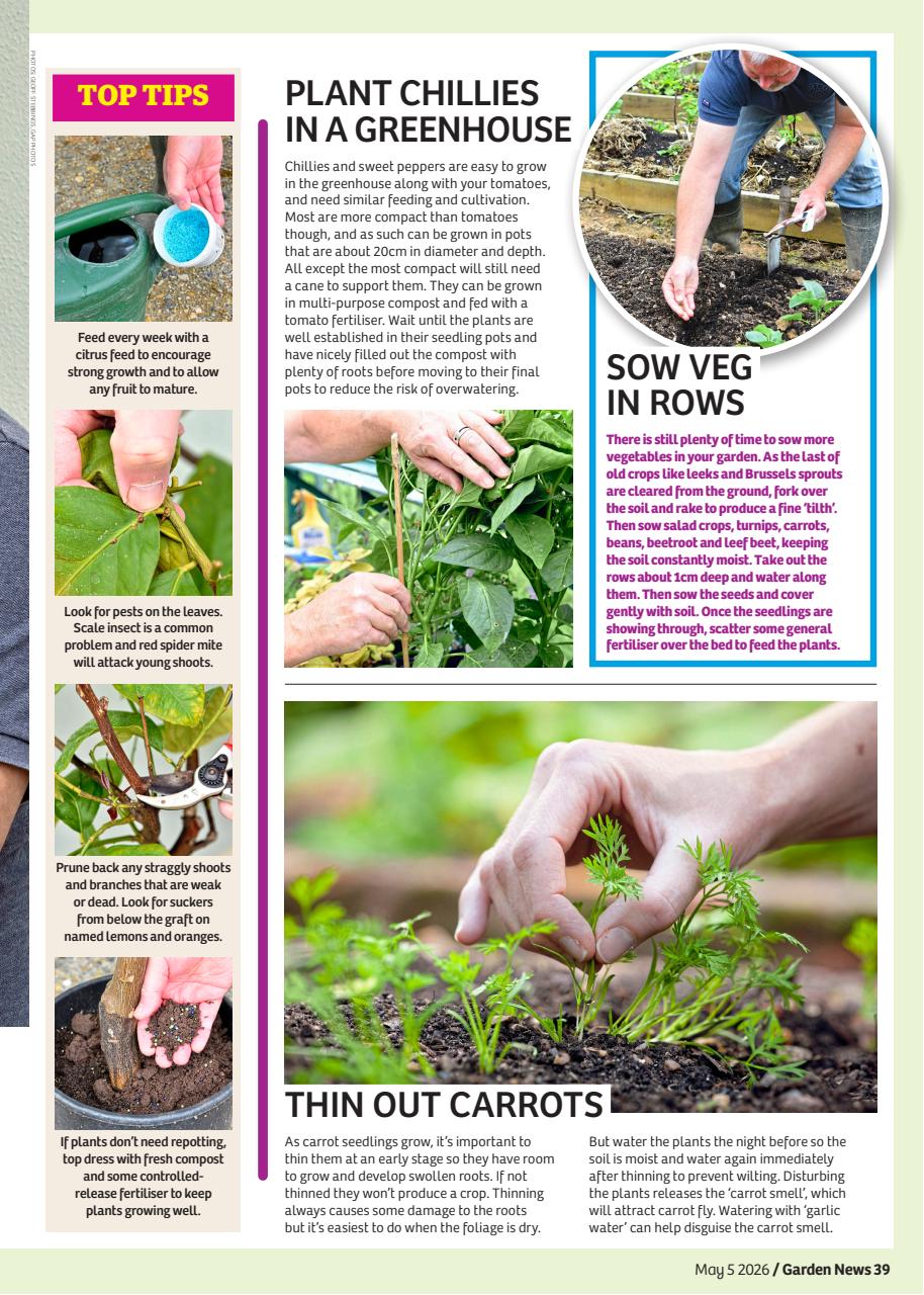 Garden News Preview Pages