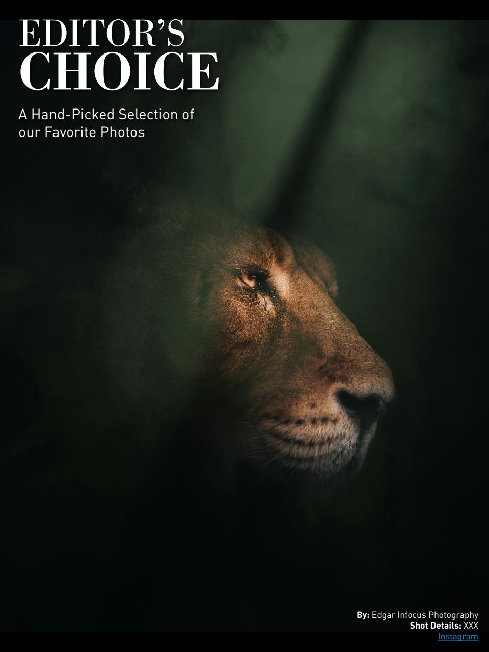 Photography Masterclass Magazine Preview Pages