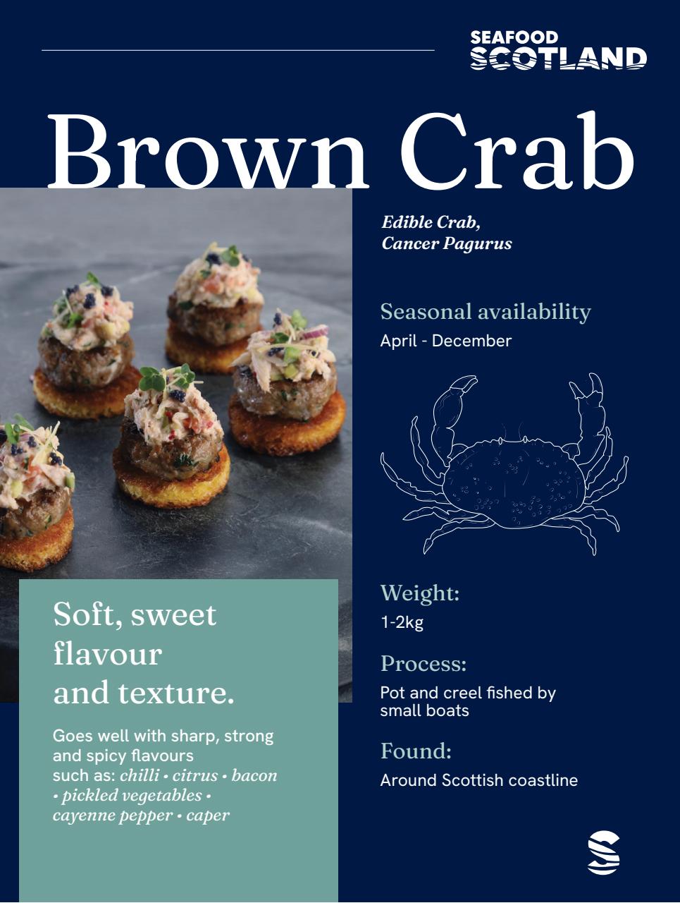 Chef & Restaurant Magazine Preview Pages
