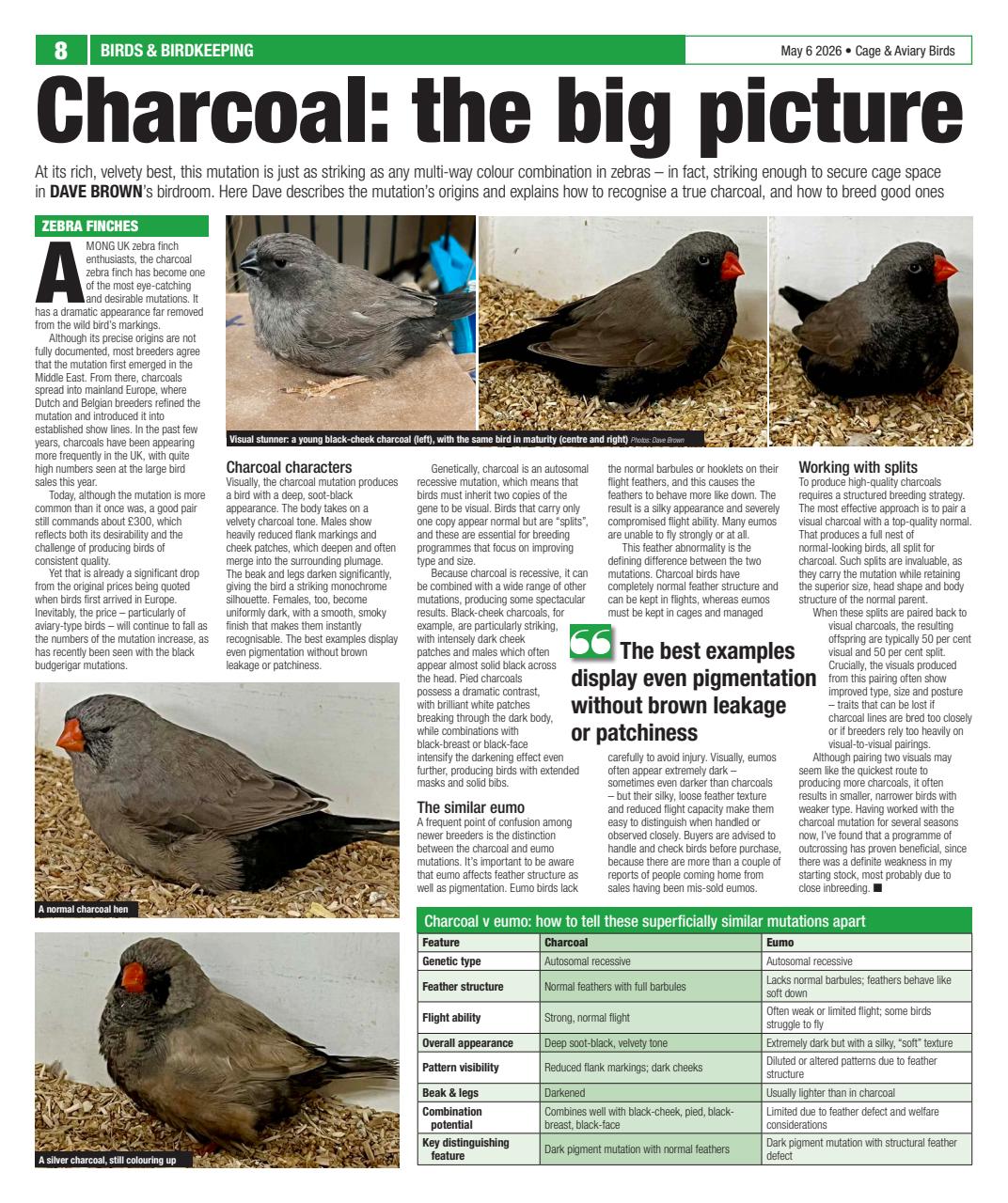 Cage & Aviary Birds Preview Pages