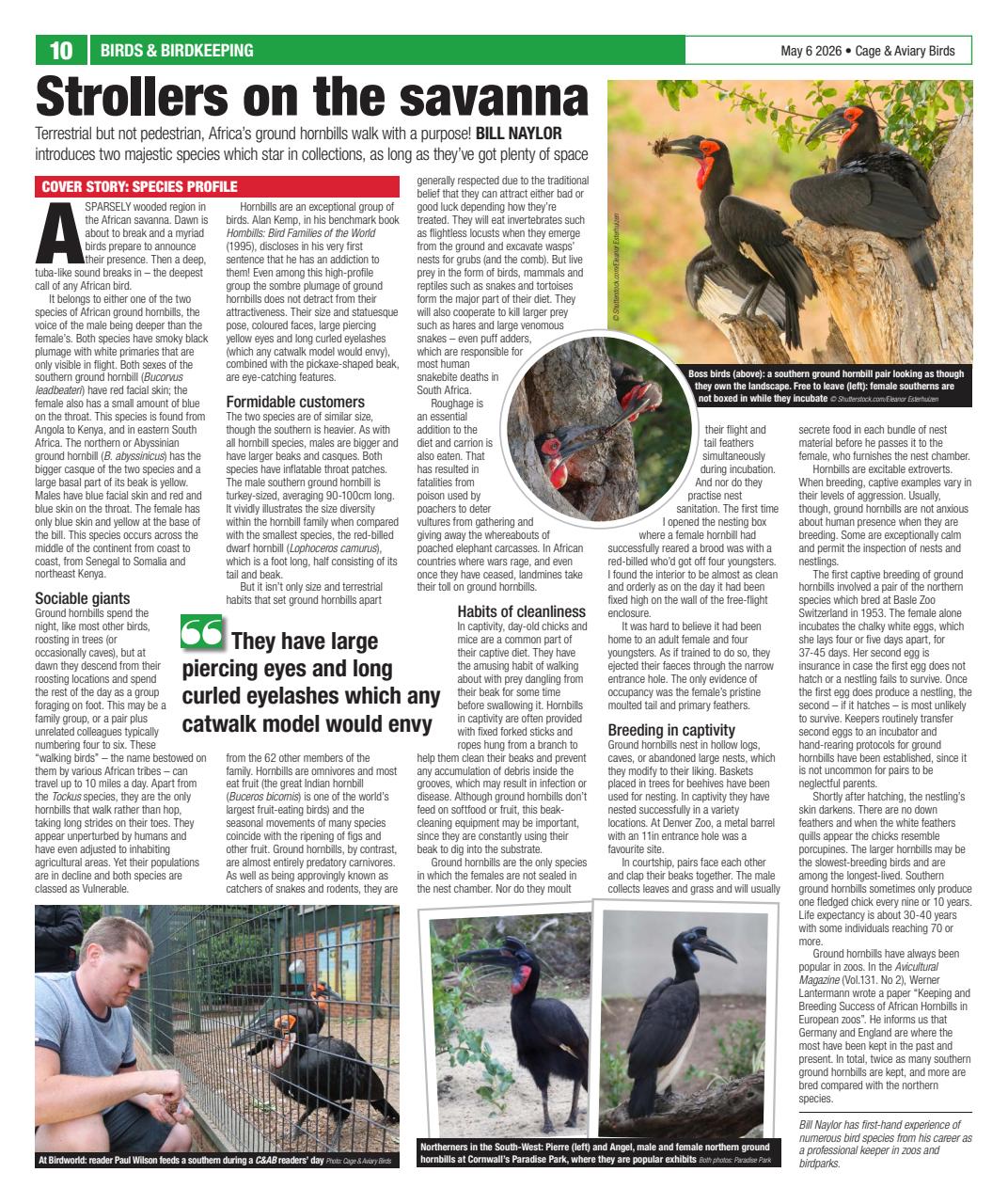 Cage & Aviary Birds Preview Pages