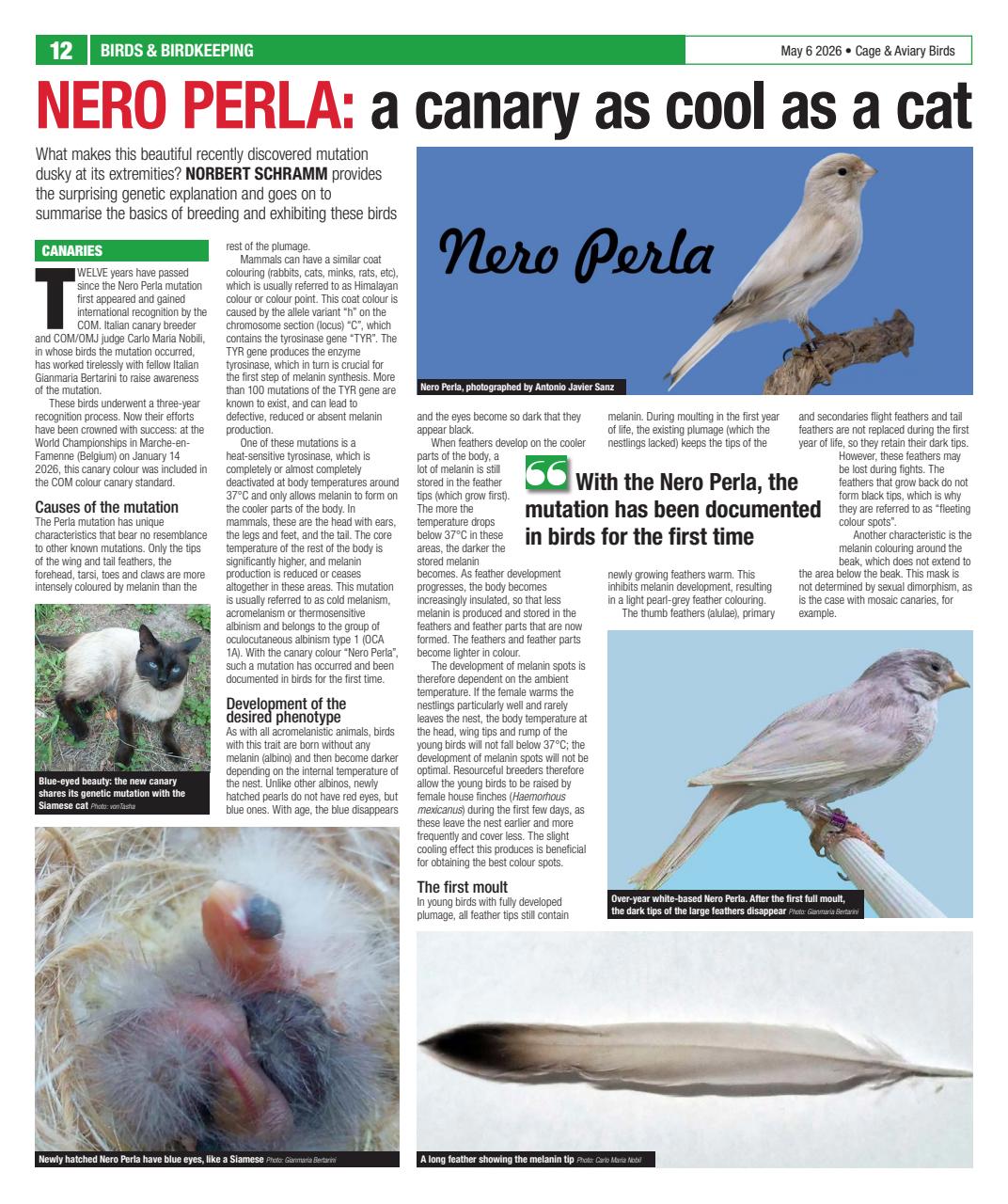 Cage & Aviary Birds Preview Pages