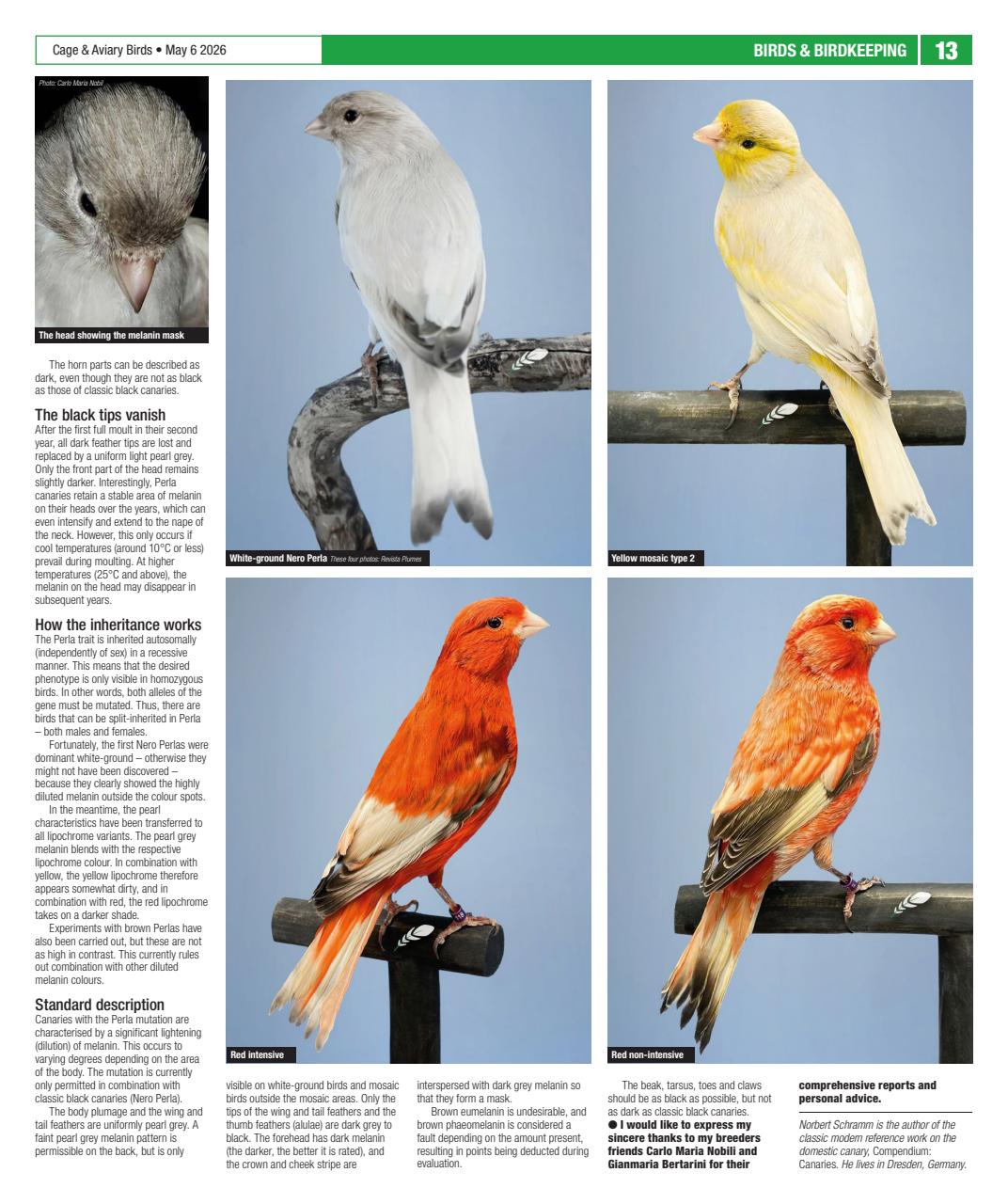 Cage & Aviary Birds Preview Pages