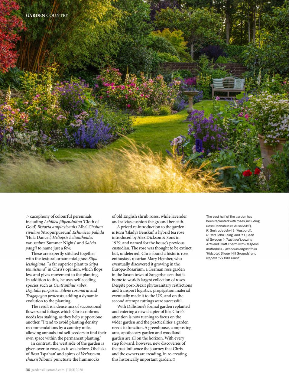 Gardens Illustrated Preview Pages