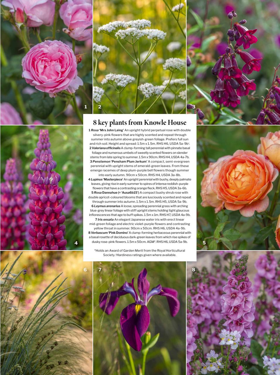 Gardens Illustrated Preview Pages
