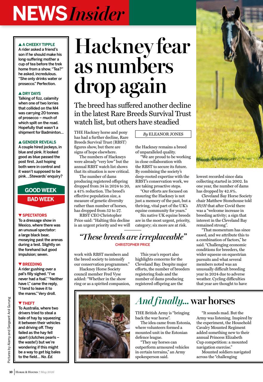 Horse & Hound Preview Pages