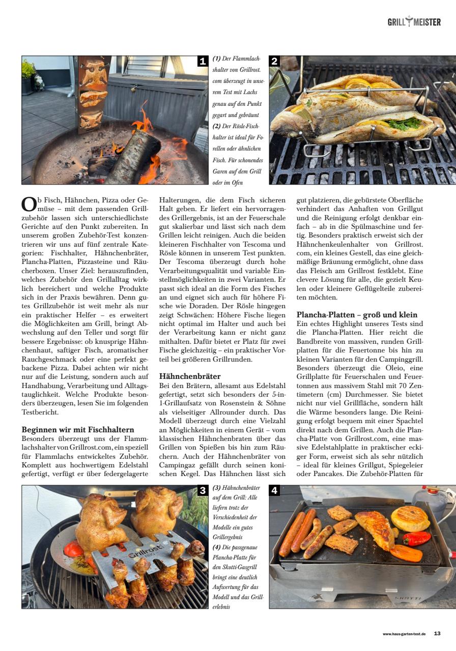 Grillmeister Preview Pages