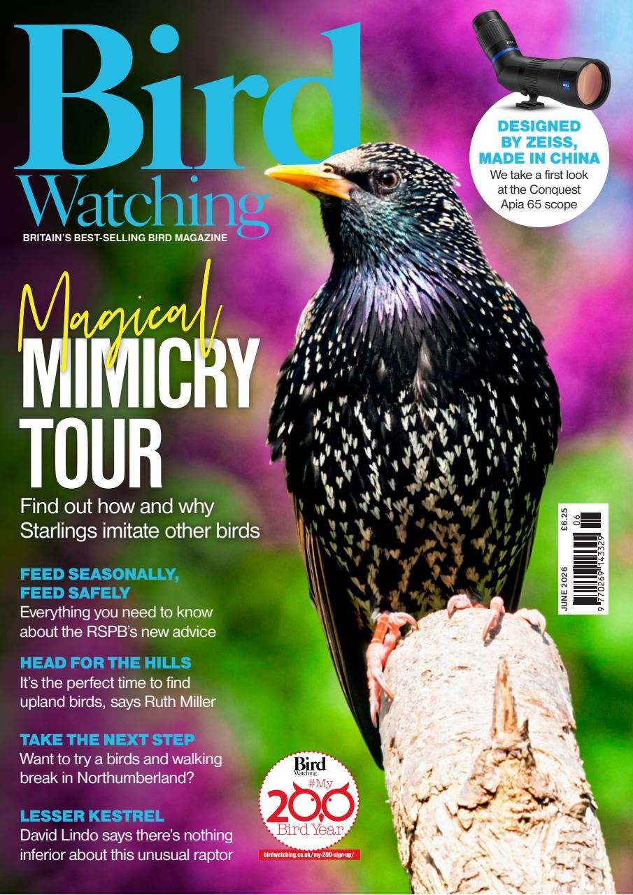 Bird Watching Preview Pages