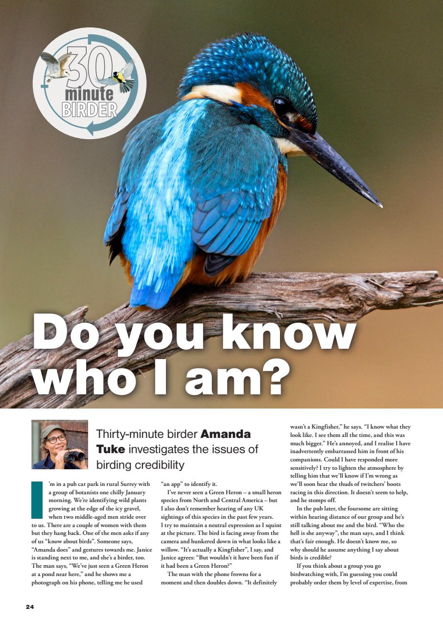 Bird Watching Preview Pages