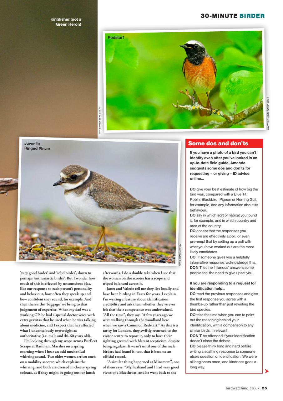 Bird Watching Preview Pages
