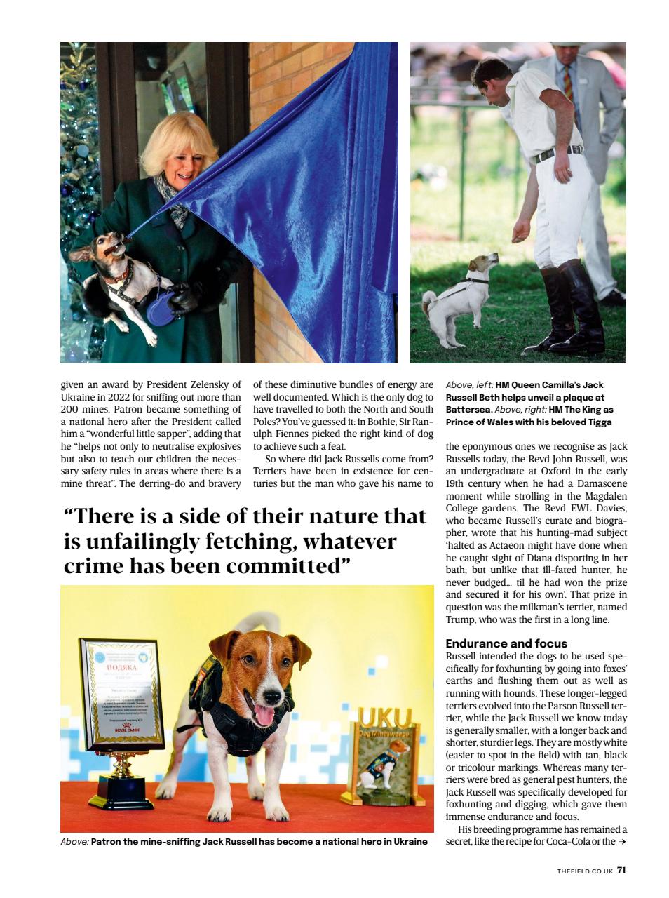 The Field Preview Pages
