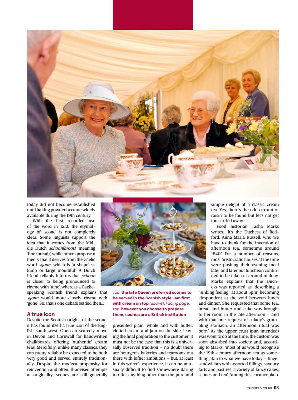 The Field Preview Pages