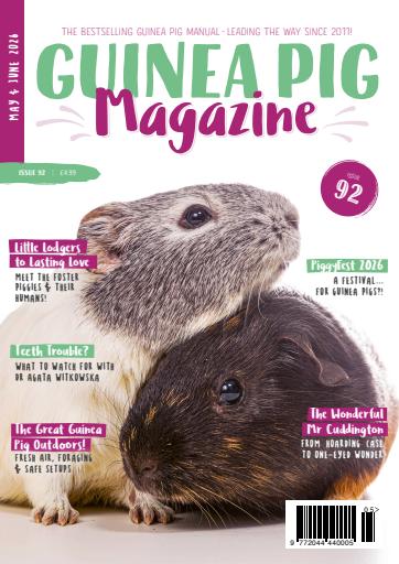 Guinea Pig Magazine issue 