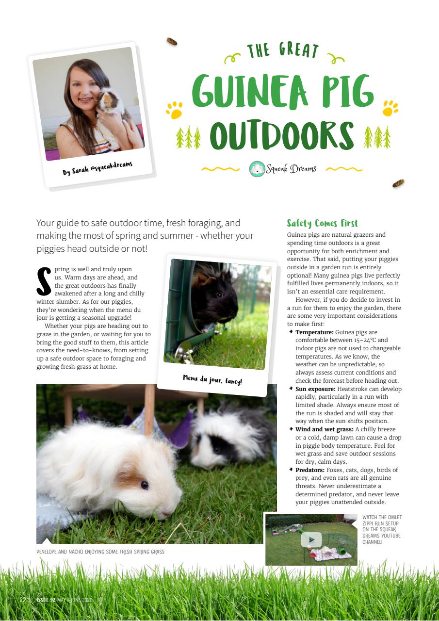 Guinea Pig Magazine Preview Pages