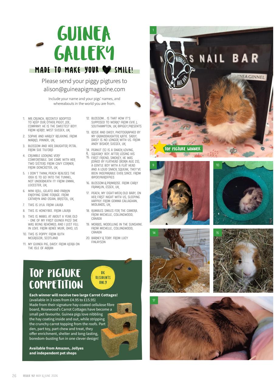 Guinea Pig Magazine Preview Pages