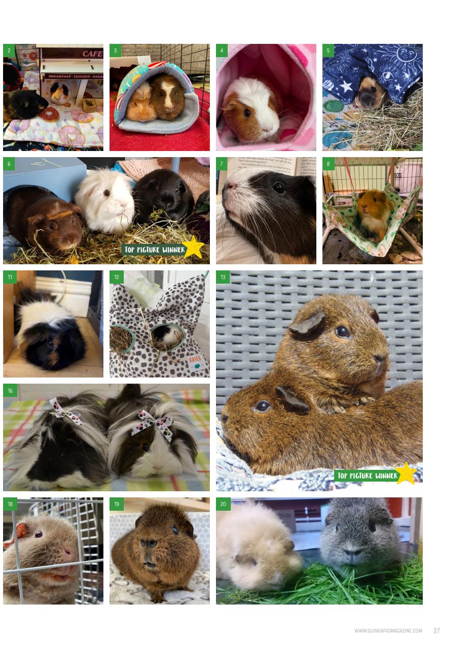Guinea Pig Magazine Preview Pages