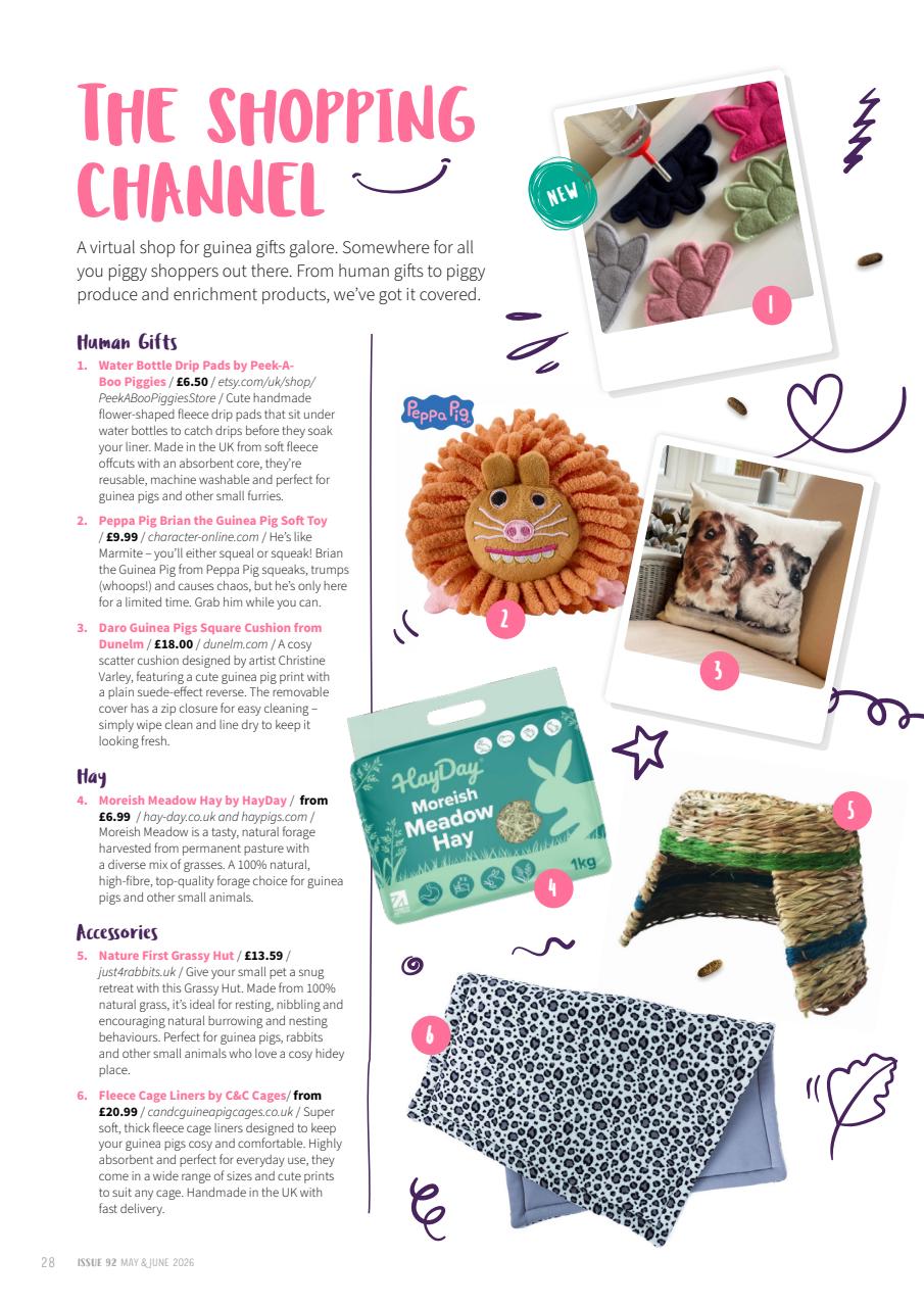 Guinea Pig Magazine Preview Pages